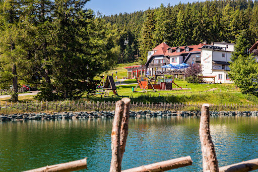 Alpengasthof Enzian GmbH – Mönichkirchen