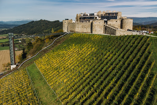 Burg Taggenbrunn – Taggenbrunn
