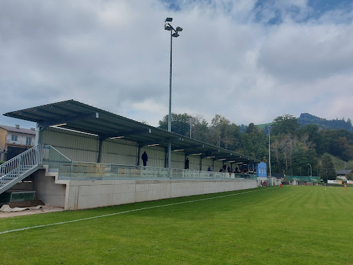 FC Sonntagberg – Böhlerwerk