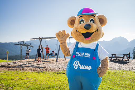 Hornbahn – Russbach, Dachstein West – Rußbach am Paß Gschütt
