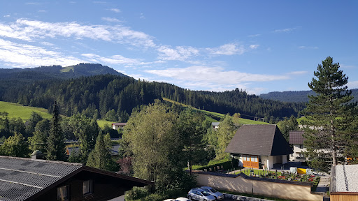 Hotel-Restaurant Kirchenwirt Russbach Dachstein West Hotel GmbH – Rußbach am Paß Gschütt