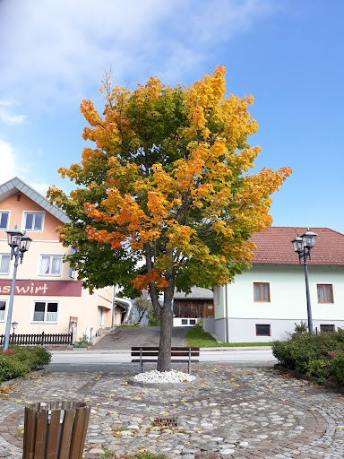 Landgasthaus Hanslwirt – Preitenegg