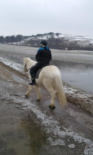 Sittendorf im Wienerwald Feuerwehr – Sittendorf bei Wien