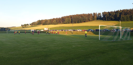 SV Kematen am Innbach – General