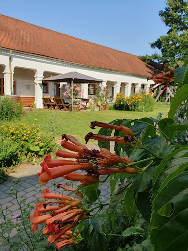 Weingut Genießerzimmer Bohrn – Herrnbaumgarten
