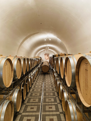 WEINGUT KOPFENSTEINER – Deutsch Schützen-Eisenberg