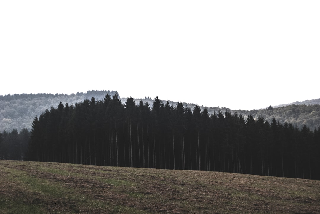 Wildwiesenhof – Miesenbach bei Birkfeld