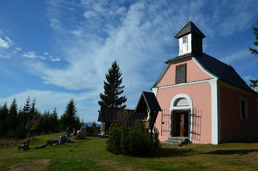 Wildwiesenhütte – Miesenbach bei Birkfeld